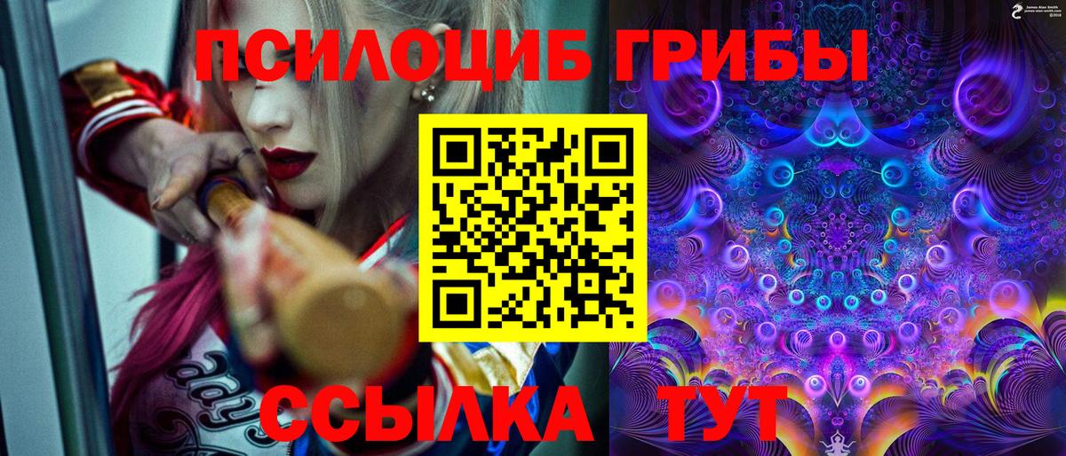 Галлюциногенные грибы Psilocybine cubensis  Псилоцибиновые грибы MAGIC MUSHROOMS  Выборг  Вход с VPN 