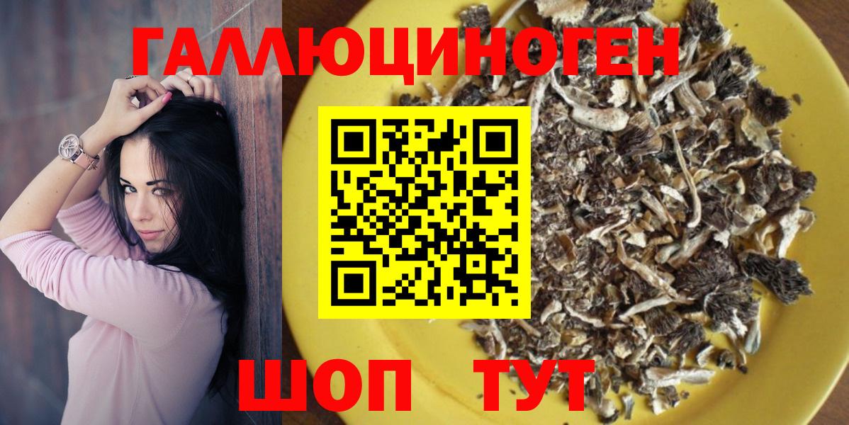 Галлюциногенные грибы GOLDEN TEACHER Выборг